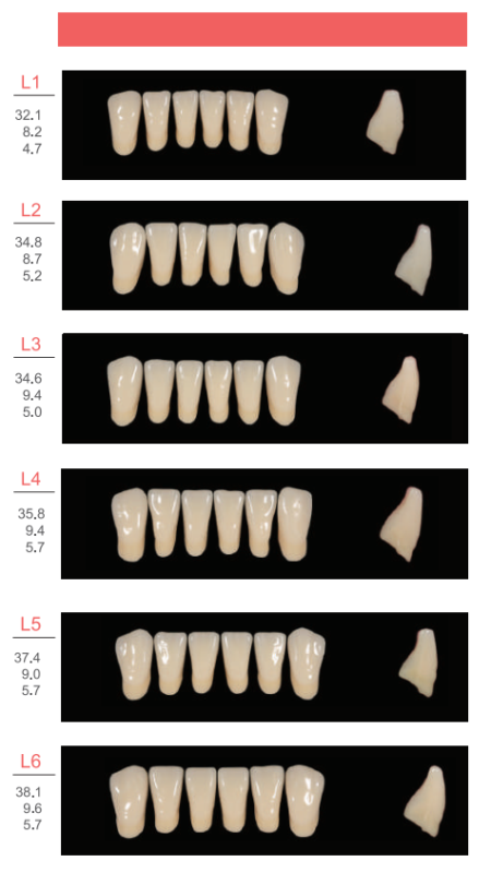 Floros Dental