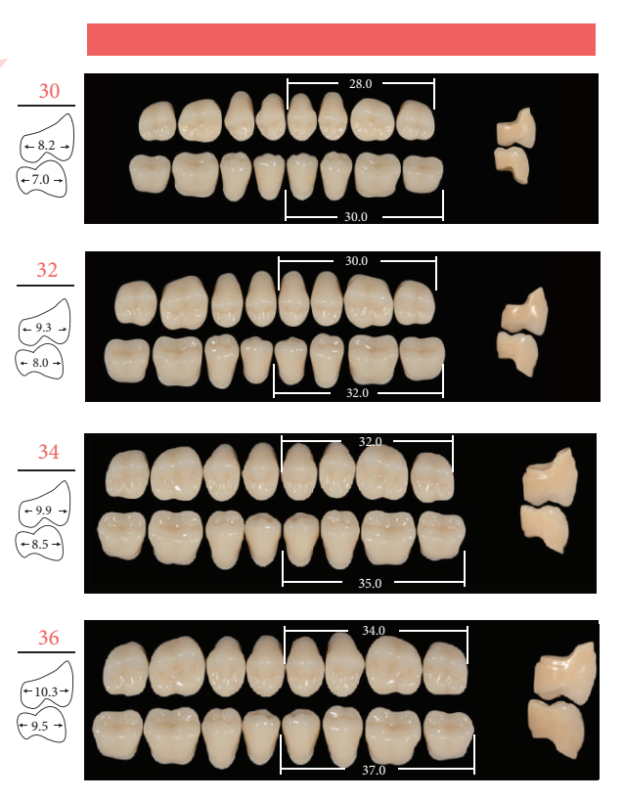 Floros Dental